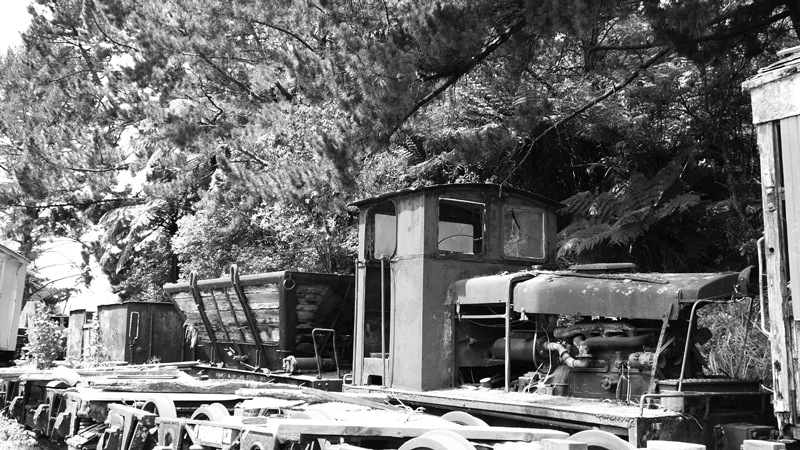 Train animation featuring Sue Ollerenshaw